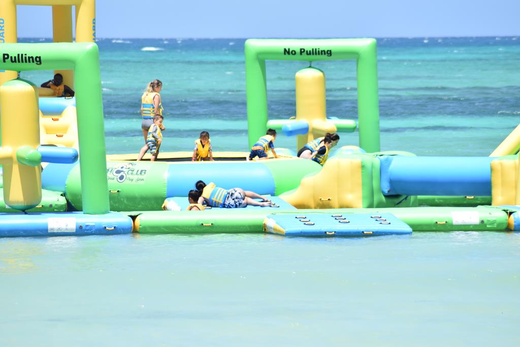 JamXTravel has the best travel experiences in Jamaica